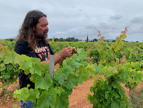 Primer tast de vins a Ca n’Andreu des Molí